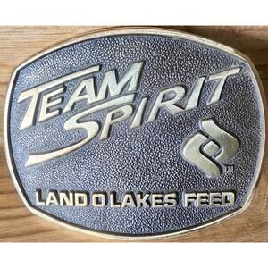 Vintage Team Spirit Land O Lakes Feed Belt Buckle Solid Brass Jadco Farm See Pic